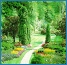 The Relaxation Academy - The Pathway