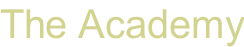 The Academy